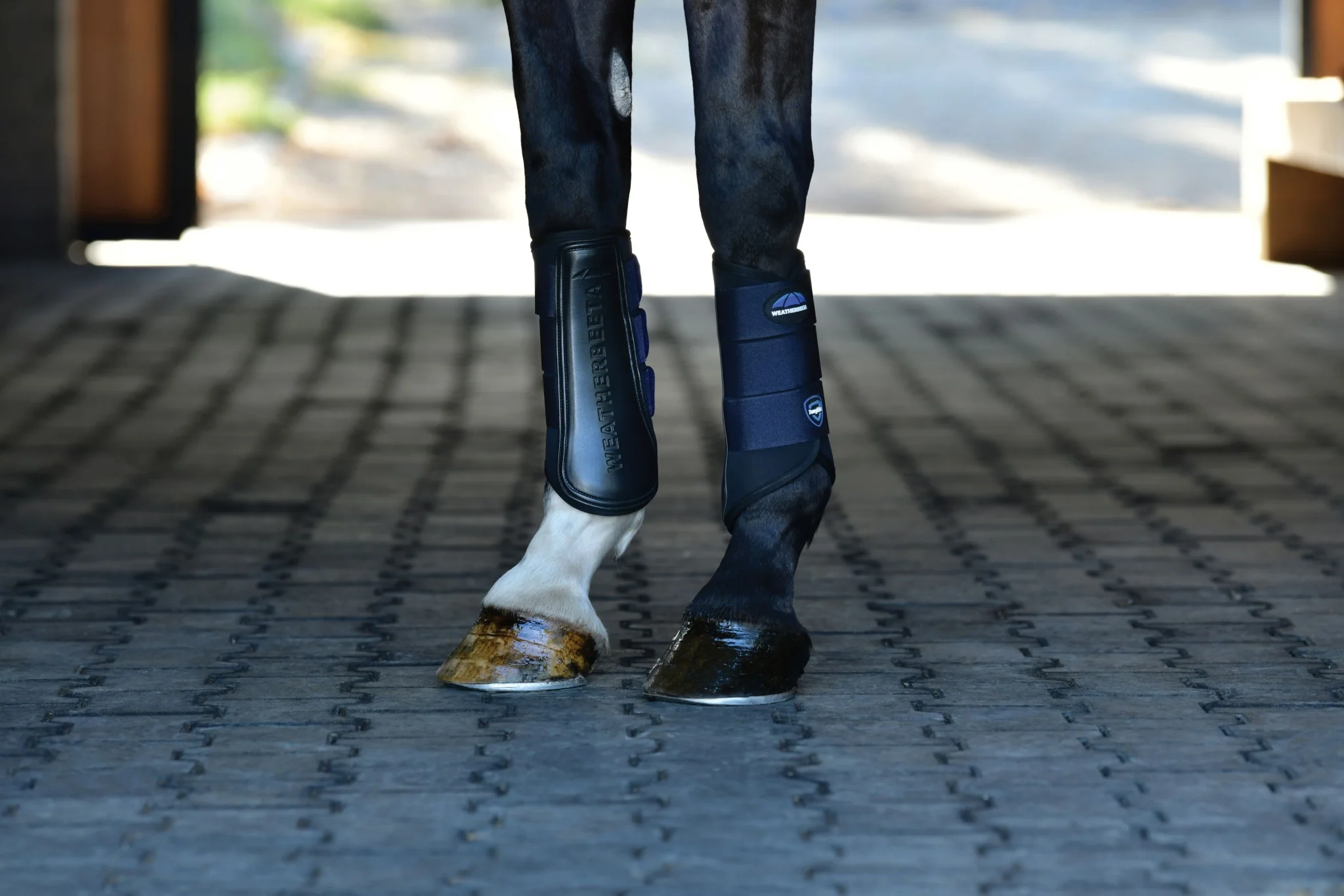 Weatherbeeta Tough-Tec Prime Brushing Boots - Image 19