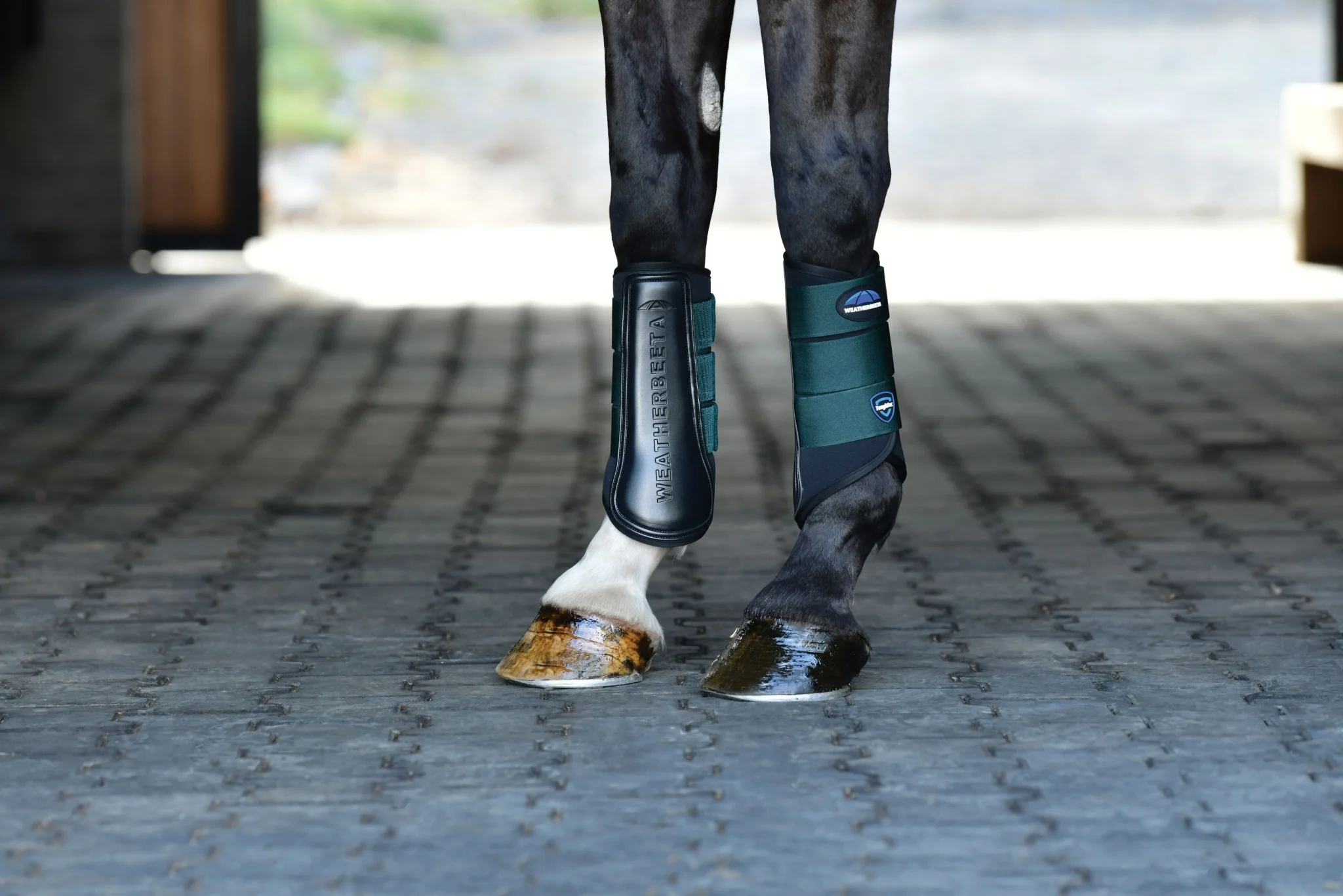 Weatherbeeta Tough-Tec Prime Brushing Boots - Image 23