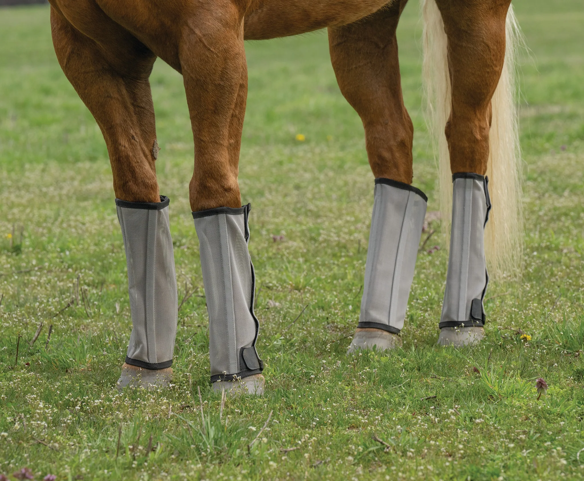Weaver Horse Fly Boots - Set of 4 - Image 5