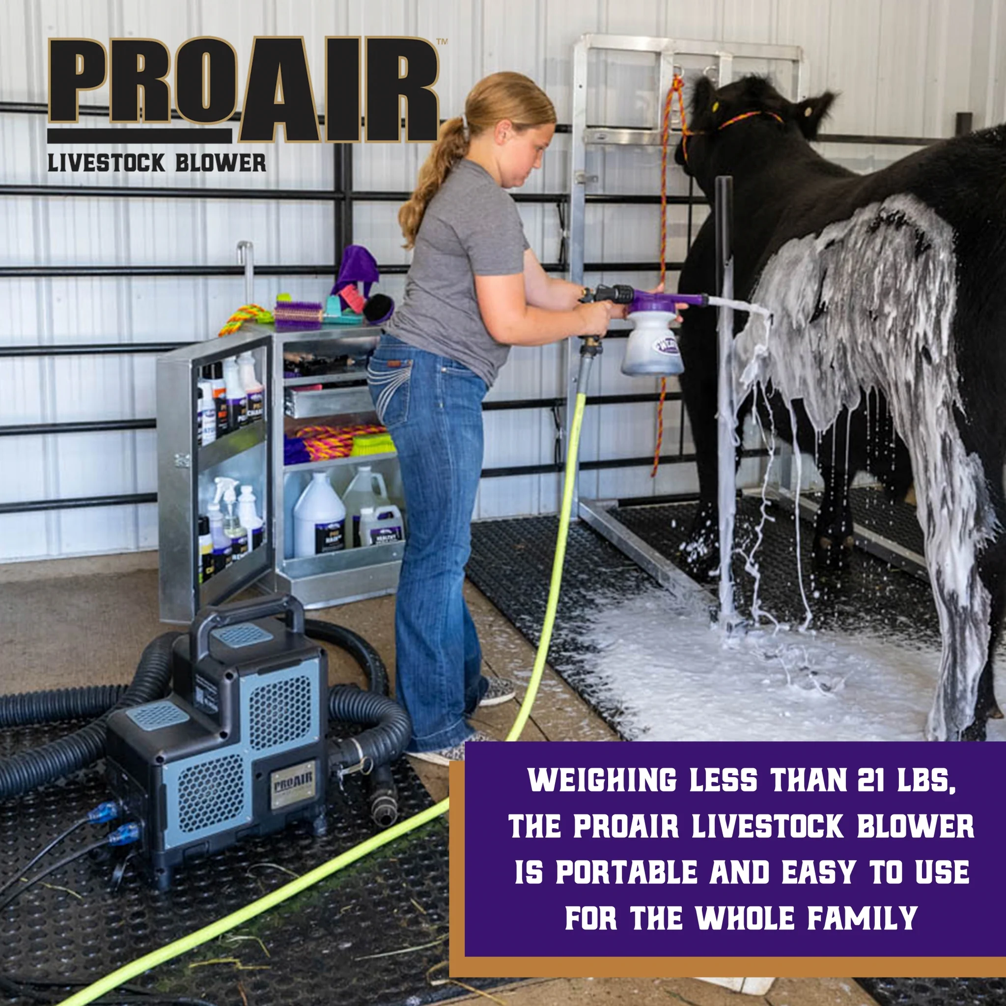 Weaver ProAir Blower - Image 2
