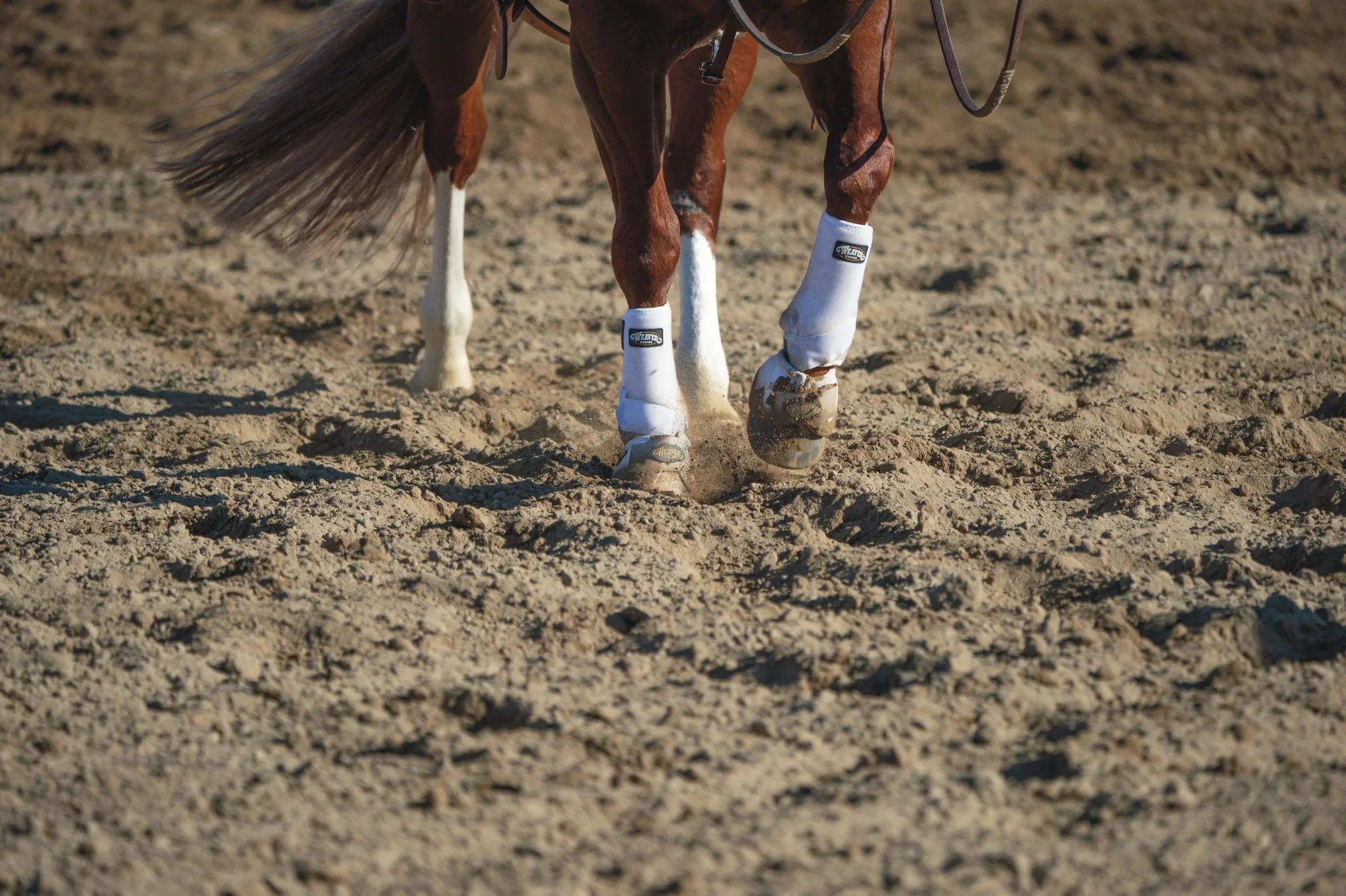 Weaver Prodigy F3 Hind Boots - Image 17