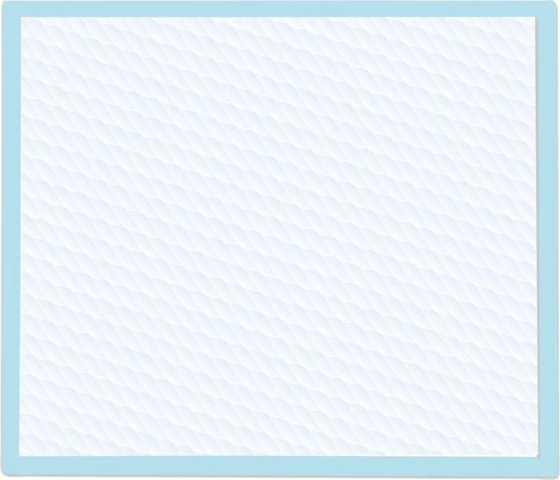 Wee Wee Pad 7.75 x 4 x 16.25 - Image 3