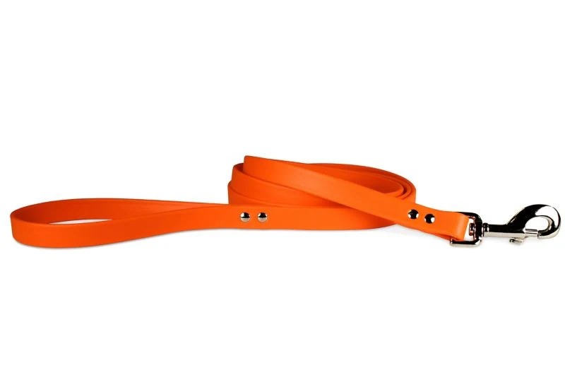 Zeta Dog Lead 6ft x 3/4in - Image 2